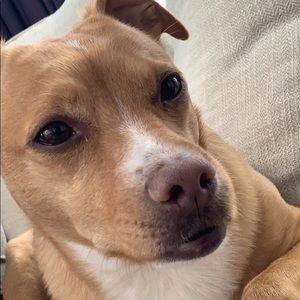 Meet your Posher, Mike